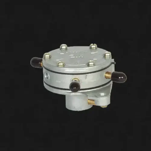 Fuel-Pump-Double-.webp
